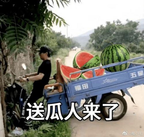 娱乐吃瓜文案啊怎么说的,吃瓜群众视角下的幕后故事